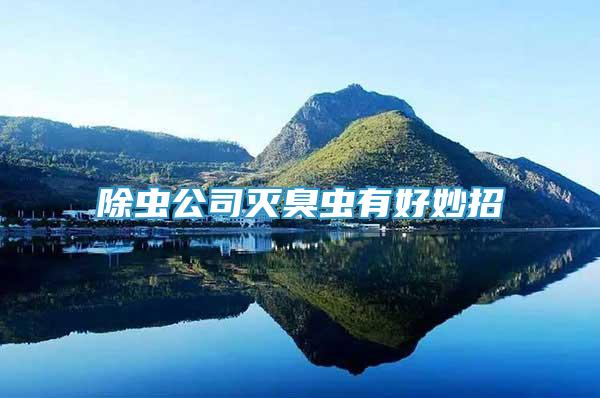 除蟲(chóng)公司滅臭蟲(chóng)有好妙招