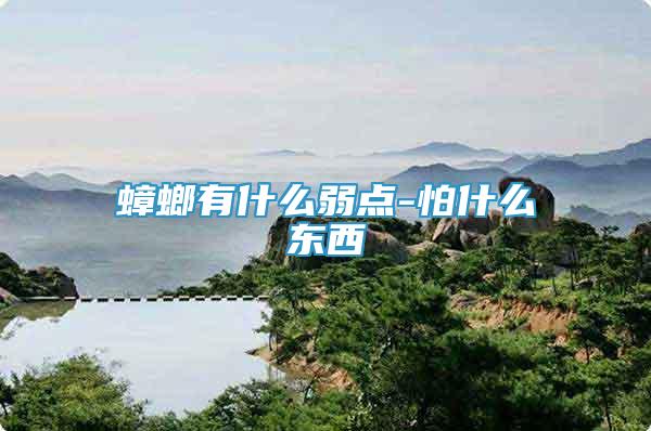 蟑螂有什么弱點(diǎn)-怕什么東西