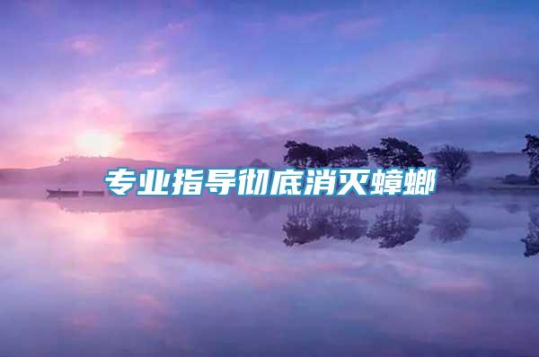 專業(yè)指導(dǎo)徹底消滅蟑螂