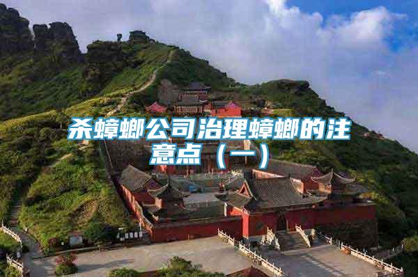 殺蟑螂公司治理蟑螂的注意點(diǎn)（一）