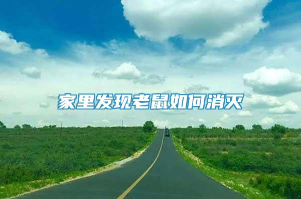 家里發(fā)現(xiàn)老鼠如何消滅