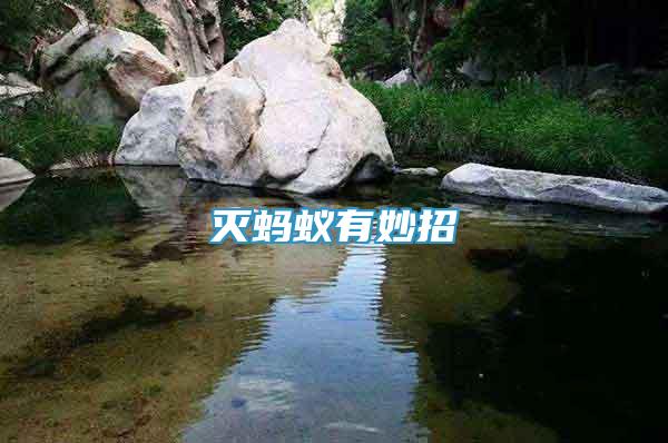 滅螞蟻有妙招