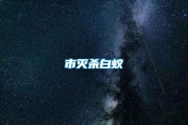 市滅殺白蟻