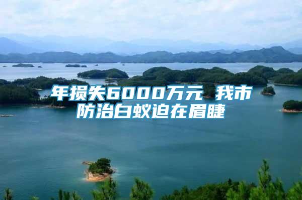 年損失6000萬元 我市防治白蟻迫在眉睫