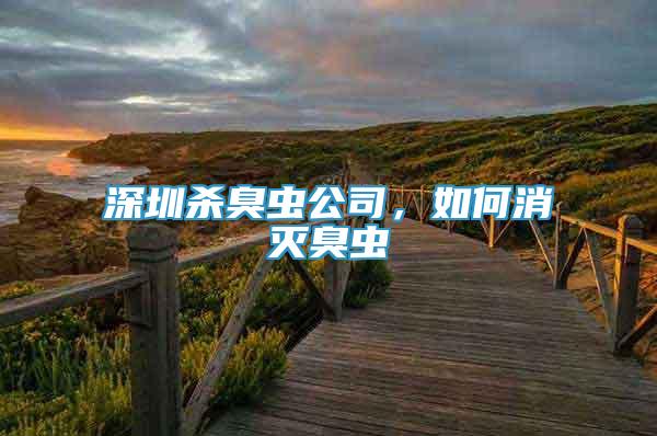 深圳殺臭蟲公司，如何消滅臭蟲