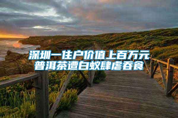 深圳一住戶價(jià)值上百萬(wàn)元普洱茶遭白蟻肆虐吞食