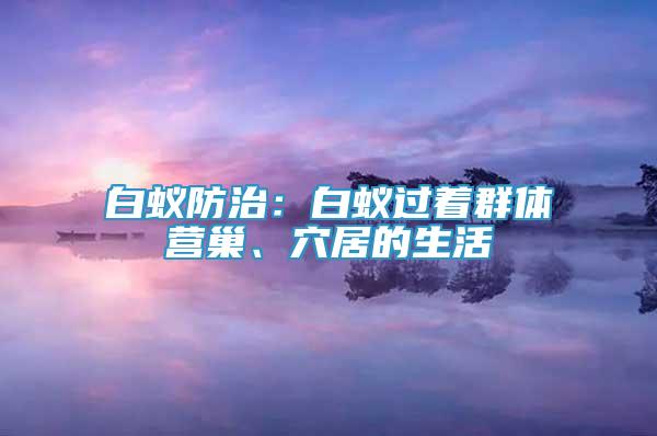 白蟻防治：白蟻過著群體營巢、穴居的生活