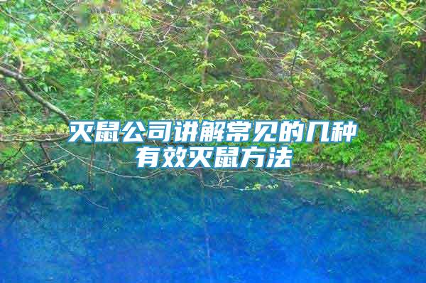 滅鼠公司講解常見的幾種有效滅鼠方法