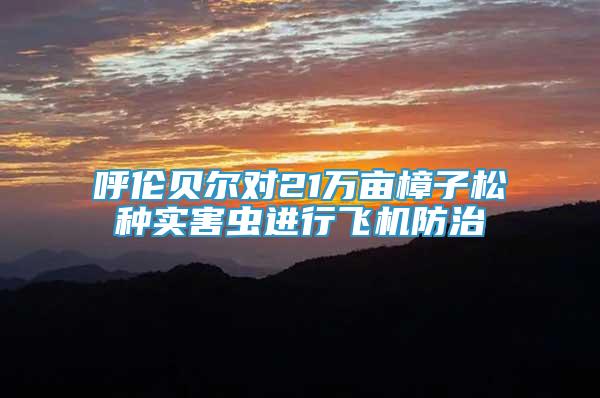 呼倫貝爾對(duì)21萬畝樟子松種實(shí)害蟲進(jìn)行飛機(jī)防治