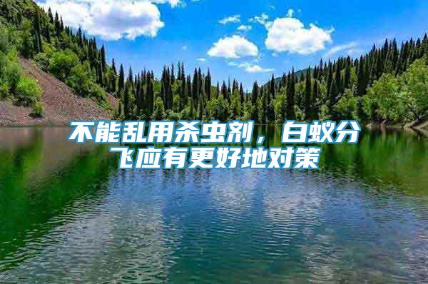 不能亂用殺蟲劑，白蟻分飛應有更好地對策