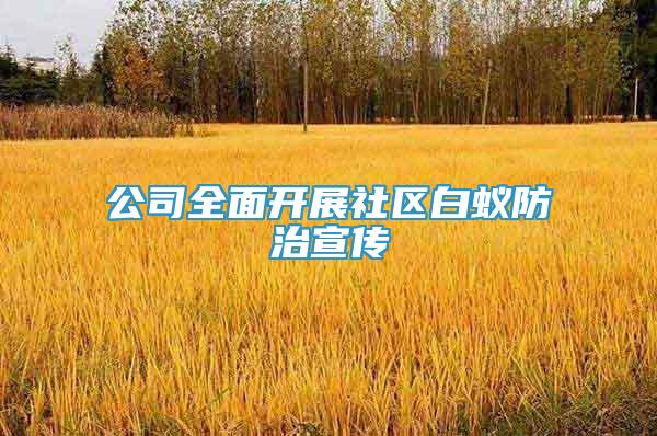 公司全面開展社區(qū)白蟻防治宣傳