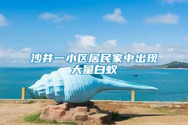 沙井一小區(qū)居民家中出現(xiàn)大量白蟻