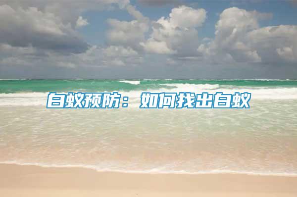白蟻預(yù)防：如何找出白蟻