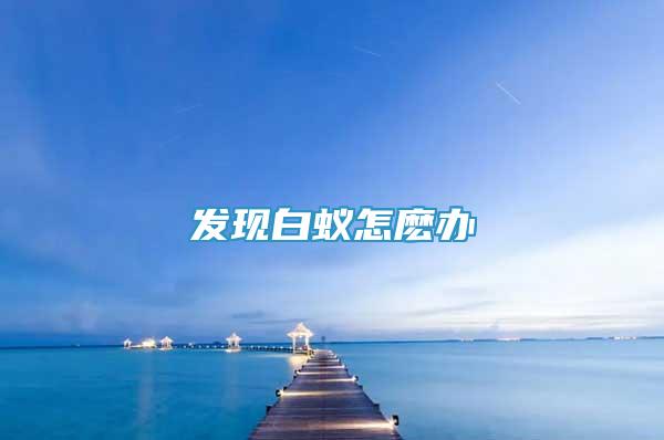 發(fā)現(xiàn)白蟻怎麼辦