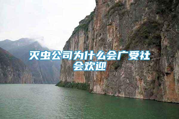 滅蟲公司為什么會廣受社會歡迎