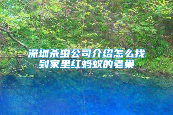 深圳殺蟲公司介紹怎么找到家里紅螞蟻的老巢