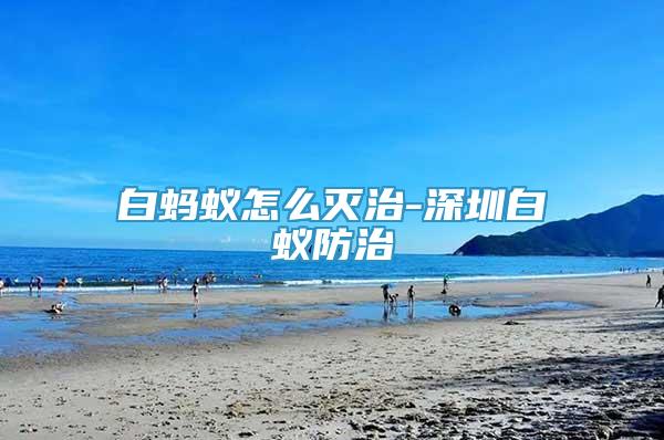 白螞蟻怎么滅治-深圳白蟻防治