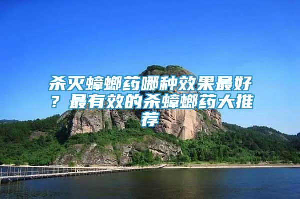 殺滅蟑螂藥哪種效果最好？最有效的殺蟑螂藥大推薦