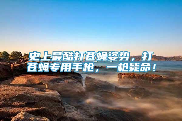 史上最酷打蒼蠅姿勢，打蒼蠅專用手槍，一槍斃命！
