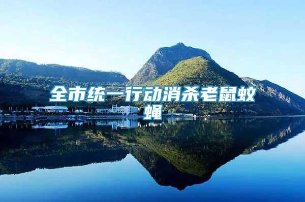 全市統(tǒng)一行動(dòng)消殺老鼠蚊蠅