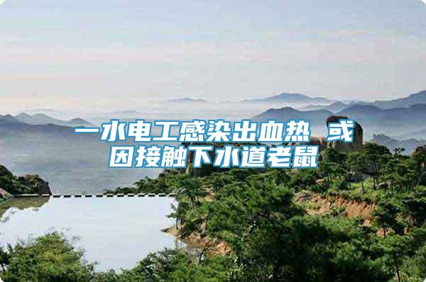 一水電工感染出血熱 或因接觸下水道老鼠