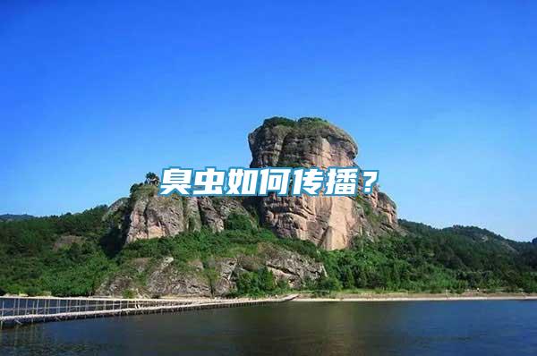 臭蟲如何傳播？