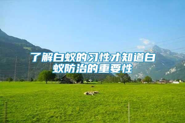 了解白蟻的習(xí)性才知道白蟻防治的重要性