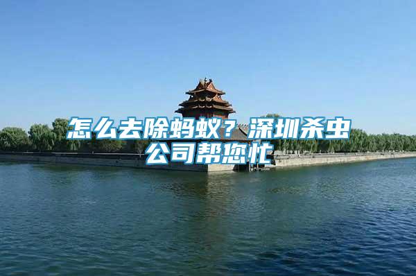 怎么去除螞蟻？深圳殺蟲(chóng)公司幫您忙