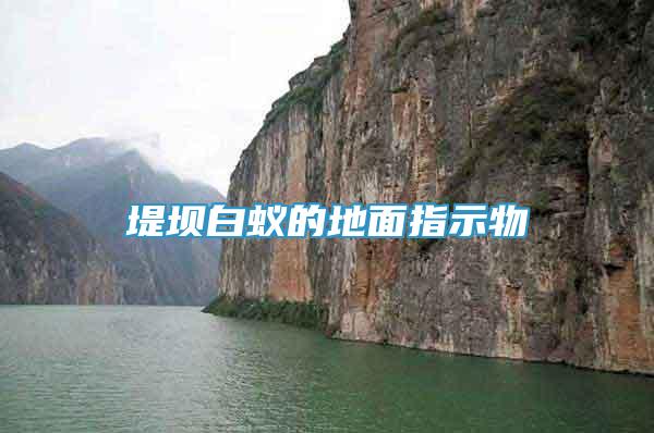 堤壩白蟻的地面指示物
