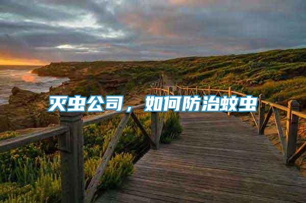 滅蟲公司，如何防治蚊蟲