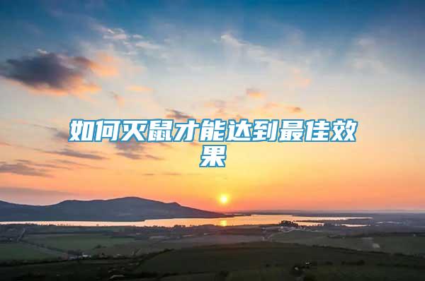如何滅鼠才能達到最佳效果