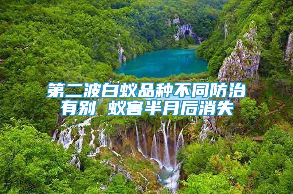 第二波白蟻品種不同防治有別 蟻害半月后消失