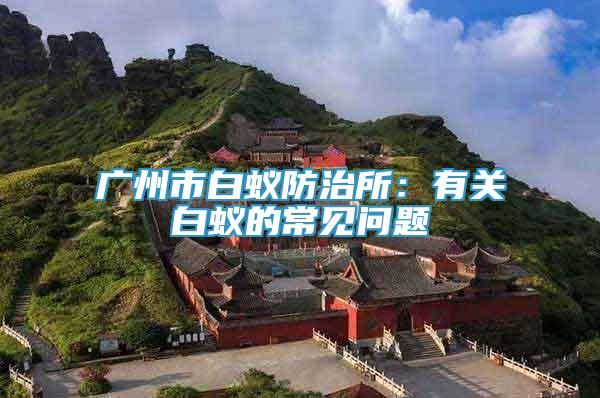 廣州市白蟻防治所：有關(guān)白蟻的常見問題
