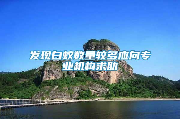 發(fā)現(xiàn)白蟻數(shù)量較多應向專業(yè)機構求助