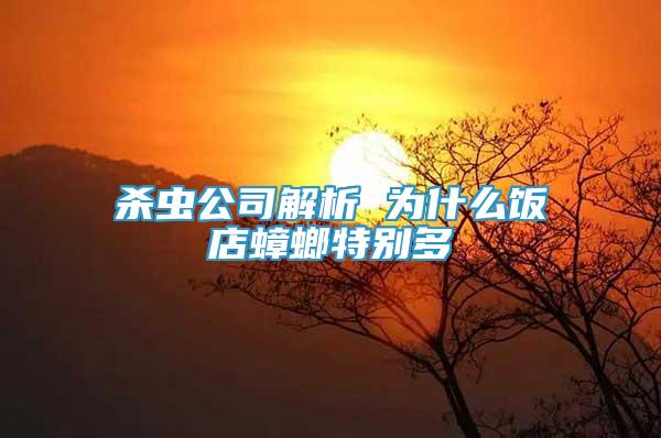 殺蟲公司解析 為什么飯店蟑螂特別多