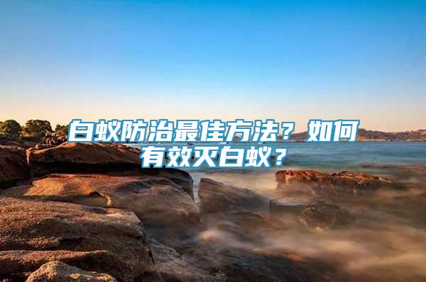 白蟻防治最佳方法？如何有效滅白蟻？
