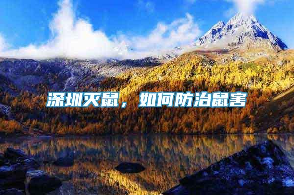 深圳滅鼠，如何防治鼠害