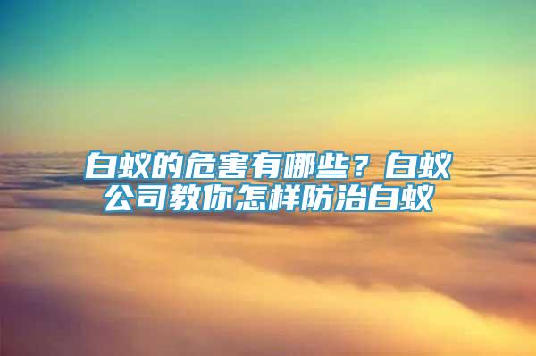 白蟻的危害有哪些？白蟻公司教你怎樣防治白蟻
