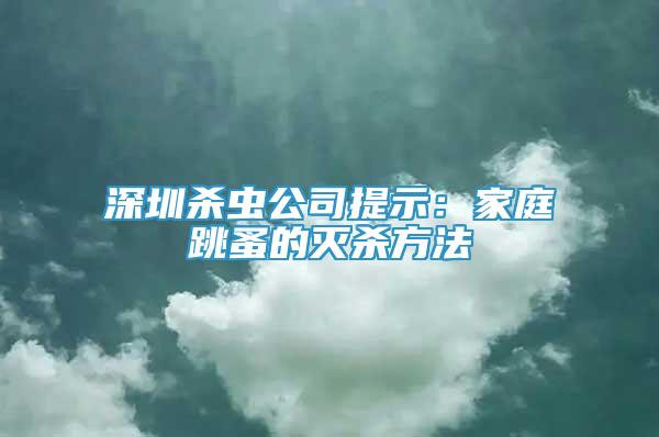 深圳殺蟲公司提示：家庭跳蚤的滅殺方法