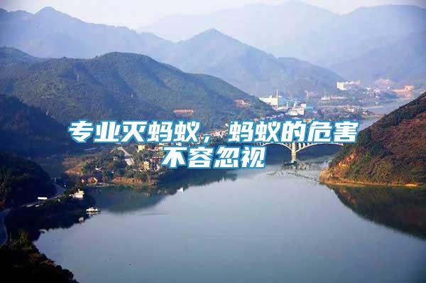 專業(yè)滅螞蟻，螞蟻的危害不容忽視