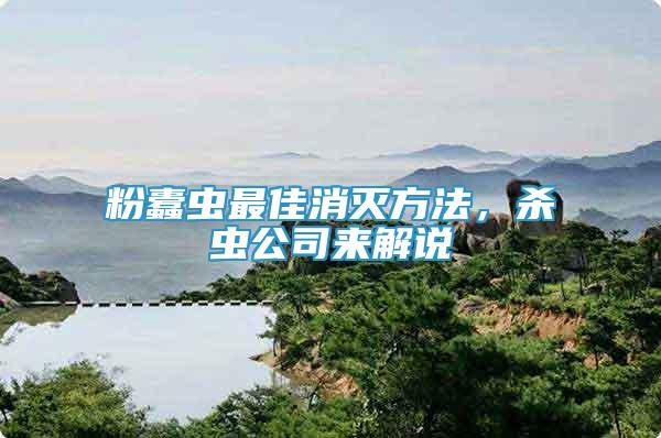 粉蠹蟲最佳消滅方法，殺蟲公司來解說