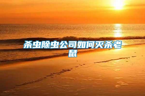 殺蟲除蟲公司如何滅殺老鼠