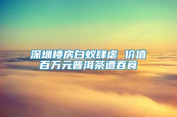 深圳樓房白蟻肆虐 價(jià)值百萬元普洱茶遭吞食