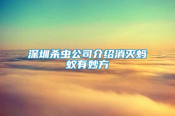 深圳殺蟲公司介紹消滅螞蟻有妙方