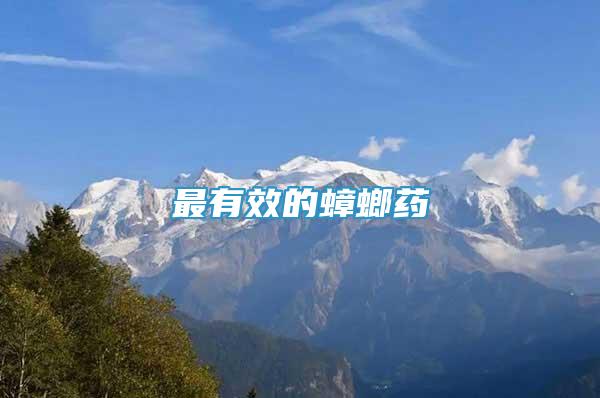 最有效的蟑螂藥