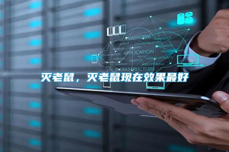 滅老鼠，滅老鼠現(xiàn)在效果最好