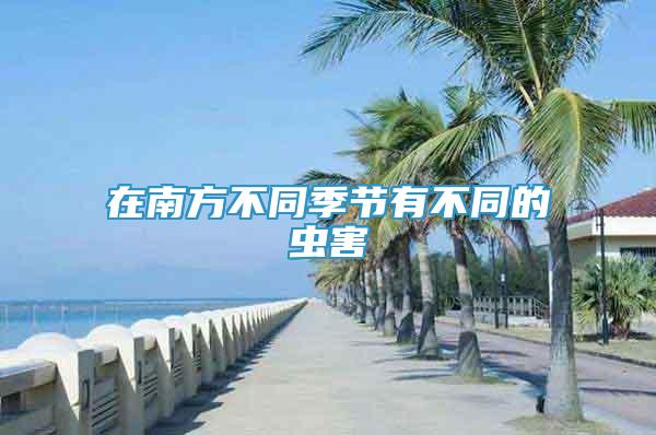 在南方不同季節(jié)有不同的蟲害