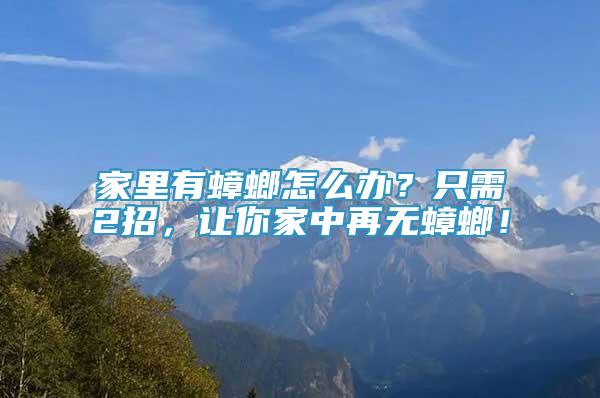 家里有蟑螂怎么辦？只需2招，讓你家中再無蟑螂！