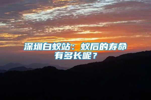 深圳白蟻站：蟻后的壽命有多長(zhǎng)呢？