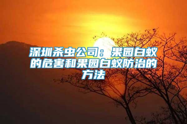 深圳殺蟲公司：果園白蟻的危害和果園白蟻防治的方法